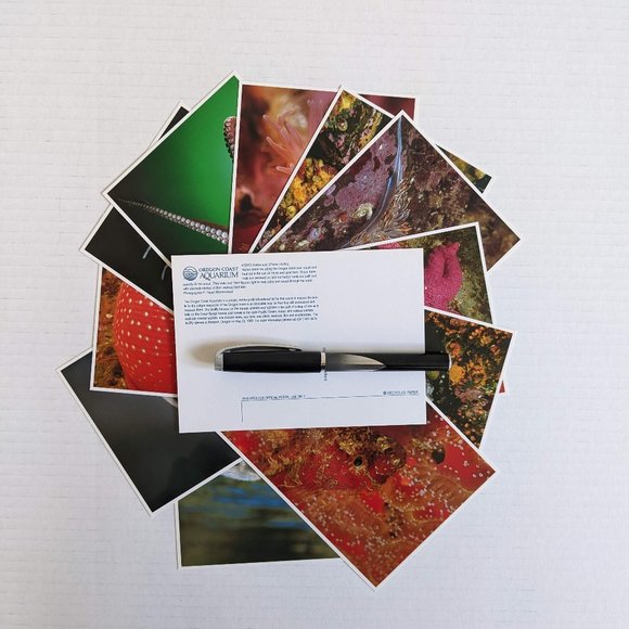 Oregon Coast Aquarium Sea Creature Postcard Bundle - Picture 2 of 7
